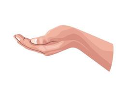 hand human receiving vector