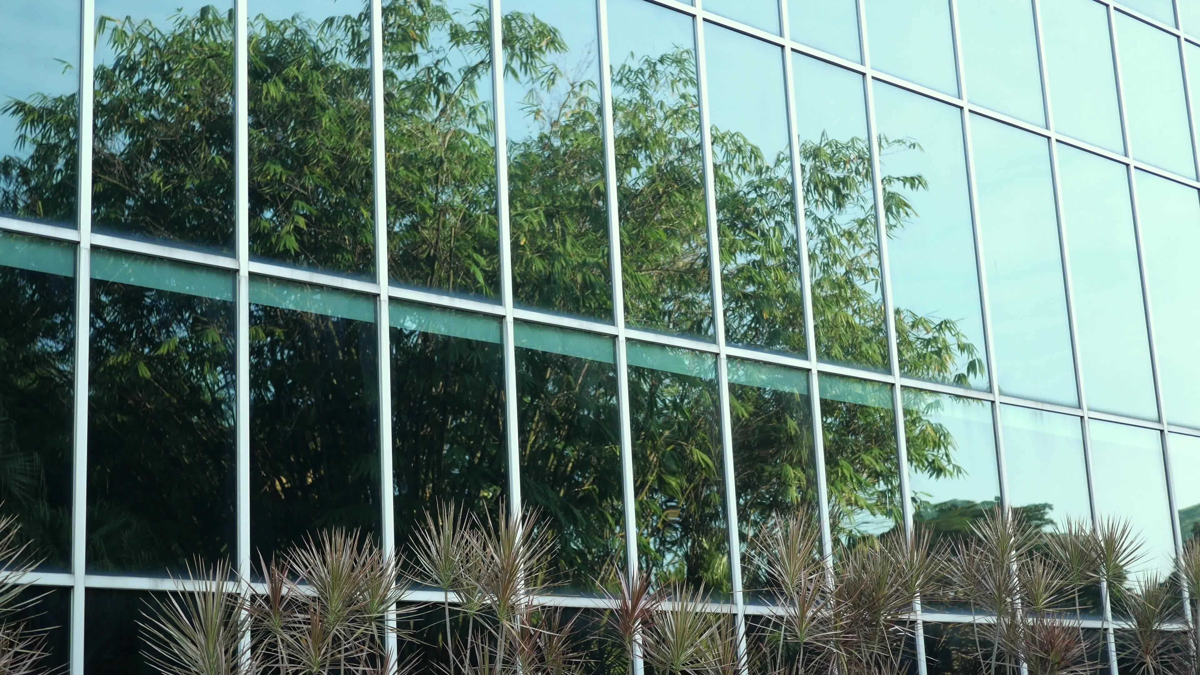 Panning up the side of a reflective glass window building with trees in
