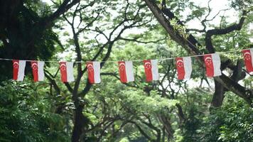 banderas de singapur en una cuerda video