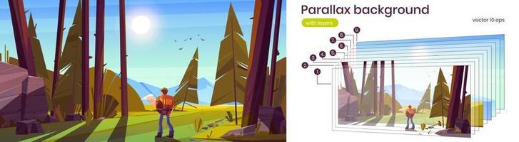 Parallax background with hiker man in forest vector