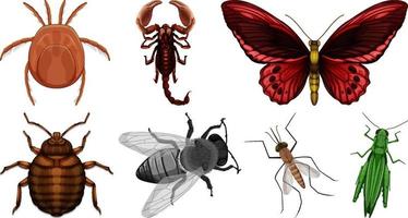 Set of different kinds of insects vector