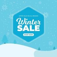 Flat winter sale banner deign vector