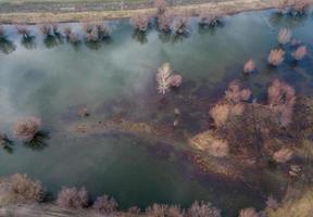 Swamp View From Above photo