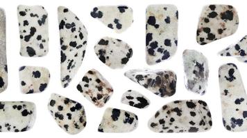 Dalmatian jasper jewel stones set texture on light white isolated background. Macro closeup. Moving right seamless loop backdrop. video