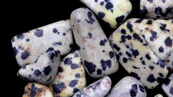 Dalmatian jasper heap up jewel stones texture on black background. Moving right seamless loop backdrop. video