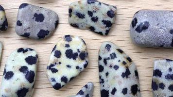 jaspe dalmatien texture rare de pierres précieuses sur fond de bois verni clair. se déplaçant vers la droite en boucle parfaite. video