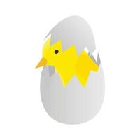 Yellow newborn chicken hatched from an egg icon vector