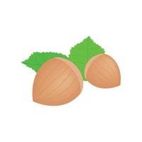 Hazelnuts isometric 3d icon vector