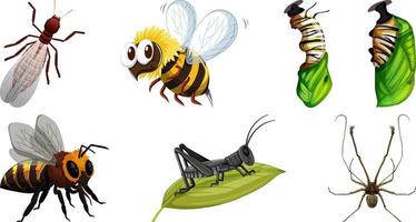 conjunto de diferentes tipos de insectos vector