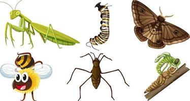 Collection of different insects vector