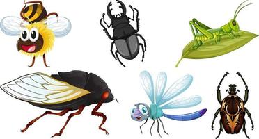 conjunto de diferentes tipos de insectos vector