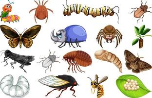 colección de diferentes tipos de insectos vector