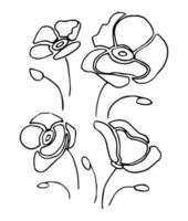 Set of hand drawn outline flowers, black botanical illustrations isolated on white background. Doodle poppies drawing vector