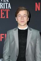 LOS ANGELES - MAR 28 - Skyler Gisondo at the Santa Clarita Diet Season 3 Premiere at the Hollywood Post 43 on March 28, 2019 in Los Angeles, CA photo