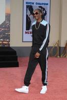 LOS ANGELES - JUL 22 - Snoop Dogg at the Once Upon a Time in Hollywood Premiere at the TCL Chinese Theater IMAX on July 22, 2019 in Los Angeles, CA photo