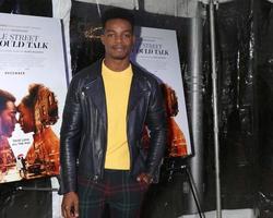 LOS ANGELES - DEC 4 - Stephan James at the If Beale Street Could Talk Screening at the ArcLight Hollywood on December 4, 2018 in Los Angeles, CA photo