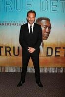 LOS ANGELES - JAN 10 - Stephen Dorff at the True Detective Season 3 Premiere Screening at the Directors Guild of America on January 10, 2019 in Los Angeles, CA photo