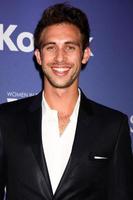 LOS ANGELES, JUN 12 - Blake Berris arrives at the Crystal and Lucy Awards 2013 at the Beverly Hilton Hotel on June 12, 2013 in Beverly Hills, CA photo