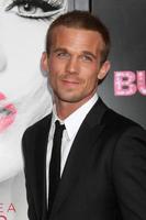 LOS ANGELES, NOV 15 - Cam Gigandet arrives at the Burlesque LA Premiere at Grauman s Chinese Theater on November 15, 2010 in Los Angeles, CA photo