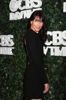 LOS ANGELES, OCT 10 - Rena Sofer at the CBS Daytime 1 for 30 Years Exhibit Reception at the Paley Center For Media on October 10, 2016 in Beverly Hills, CA photo