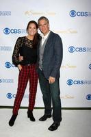 LOS ANGELES, MAY 18 - Chelsea Field, Scott Bakula at the CBS Summer Soiree 2015 at the London Hotel on May 18, 2015 in West Hollywood, CA photo