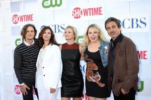 los angeles, 29 de julio - matthew gray gubler, jeanne tripplehorn, aj cook, kirsten vangsness, joe mantegna llega a la fiesta tca de verano de cbs, cw y showtime 2012 en el estacionamiento adyacente del hotel beverly hilton el 29 de julio de 2012 en beverly hills, California foto