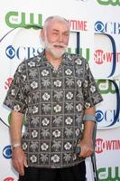 LOS ANGELES, AUG 3 - Robert David Hall arriving at the CBS TCA Summer 2011 All Star Party at Robinson May Parking Garage on August 3, 2011 in Beverly Hills, CA photo