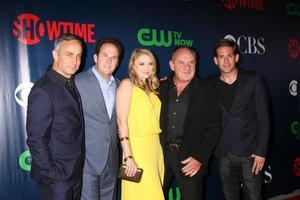 LOS ANGELES, AUG 10 - CSI Cast at the CBS TCA Summer 2015 Party at the Pacific Design Center on August 10, 2015 in West Hollywood, CA photo