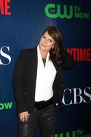 LOS ANGELES, AUG 10 - Marcia Gay Harden at the CBS TCA Summer 2015 Party at the Pacific Design Center on August 10, 2015 in West Hollywood, CA photo