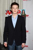 LOS ANGELES, AUG 1 - Cameron Monaghan at the AARP Luncheon IHO Jeff Bridges at the Spago on August 1, 2014 in Beverly Hills, CA photo