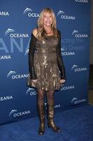 LOS ANGELES, OCT 30 - Carly Simon at the Oceana s Partners Awards Gala 2013 at Beverly Wilshire Hotel on October 30, 2013 in Beverly Hills, CA photo