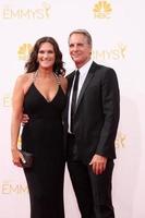 LOS ANGELES, AUG 25 - Chelsea Field, Scott Bakula at the 2014 Primetime Emmy Awards, Arrivals at Nokia Theater at LA Live on August 25, 2014 in Los Angeles, CA photo