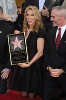 LOS ANGELES, JAN 29 - Cheryl Hines at the Hollywood Walk of Fame Star Ceremony for Cheryl Hines at Hollywood Boulevard on January 29, 2014 in Los Angeles, CA photo