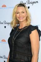 LOS ANGELES, MAY 12 - Natasha Henstridge at the Children s Justice Campaign Event at the Private Residence on May 12, 2015 in Beverly Hills, CA photo