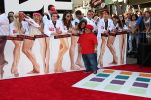 LOS ANGELES, JUL 10 - Chuy Bravo at the Sex Tape Premiere at the Village Theater on July 10, 2014 in Westwood, CA photo