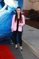 LOS ANGELES, MAR 8 - Kyle Richards at the Disney s Cinderella Advance Screening at the Disney Studios on March 8, 2015 in Burbank, CA photo