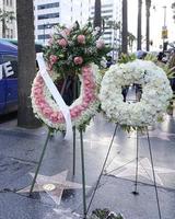 LOS ANGELES, DEC 30 - Fan tributes and official Walk of Fame memorial wreath laid on Debbie Reynolds Star on the Hollywood Walk of Fame on December 30, 2016 in Los Angeles, CA photo