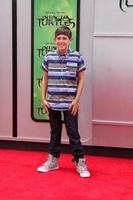 LOS ANGELES, AUG 3 - Diego Velazquez at the Teenage Mutant Ninja Turtles Premiere at the Village Theater on August 3, 2014 in Westwood, CA photo