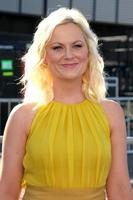 los angeles, 14 de agosto - amy poehler llegando a los premios vh1 do something 2011 en hollywood palladium el 14 de agosto de 2011 en los angeles, ca foto