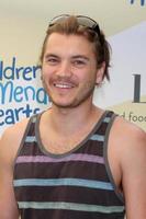 LOS ANGELES, JUN 14 - Emile Hirsch at the Children Mending Hearts 6th Annual Fundraiser at Private Estate on June 14, 2014 in Beverly Hills, CA photo