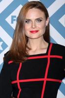 LOS ANGELES, JAN 13 - Emily Deschanel at the FOX TCA Winter 2014 Party at Langham Huntington Hotel on January 13, 2014 in Pasadena, CA photo