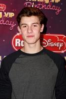 LOS ANGELES, NOV 22 - Shawn Mendes at the Radio Disney s Family VIP Birthday at the Club Nokia on November 22, 2014 in Los Angeles, CA photo