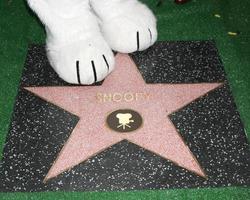 LOS ANGELES, NOV 2 - Snoopy s paws with Star at the Snoopy Hollywood Walk of Fame Ceremony at the Hollywood Walk of Fame on November 2, 2015 in Los Angeles, CA photo