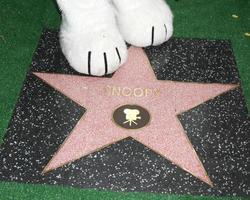 LOS ANGELES, NOV 2 - Snoopy s paws with Star at the Snoopy Hollywood Walk of Fame Ceremony at the Hollywood Walk of Fame on November 2, 2015 in Los Angeles, CA photo