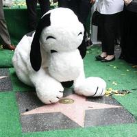 los angeles, 2 de noviembre - snoopy, con su estrella wof y la estrella wof de charles schultz en la ceremonia del paseo de la fama de snoopy hollywood en el paseo de la fama de hollywood el 2 de noviembre de 2015 en los angeles, ca foto