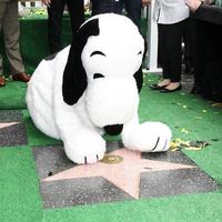 LOS ANGELES, NOV 2 - Snoopy, with both his WOF star, and the WOF star for Charles Schultz at the Snoopy Hollywood Walk of Fame Ceremony at the Hollywood Walk of Fame on November 2, 2015 in Los Angeles, CA photo