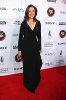 LOS ANGELES, FEB 8 - Erin Gray at the 2015 Society Of Camera Operators Lifetime Achievement Awards at a Paramount Theater on February 8, 2015 in Los Angeles, CA photo