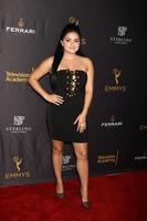 LOS ANGELES, SEP 8 - Ariel Winter at the TV Academy Reception for the Nominees for Outstanding Casting at the Montage Hotel on September 8, 2016 in Beverly Hills, CA photo