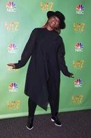 LAS VEGAS, JUN 1 - Queen Latifah, Dana Owens at the Television Academy Event For NBC s The Wiz Live at the Directors Guild of America on June 1, 2016 in West Hollywood, CA photo