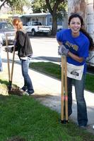 LOS ANGELES, FEB 9 - Theresa Castillo digging new fence post hole at the 4th General Hospital Habitat for Humanity Fan Build Day at the 191 E Marker Street on February 9, 2013 in Long Beach, CA photo